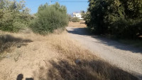 autre-terrain-a-vendre-dune-superficie-12555m-boudjellil-bejaia-algerie