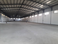 hangar-location-blida-algerie
