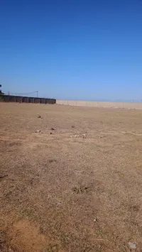 Vente Terrain Alger Dar el beida
