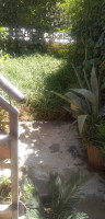 appartement-vente-f2-alger-dar-el-beida-algerie