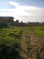 terrain-vente-blida-chebli-algerie