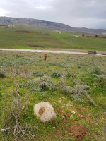 terrain-vente-constantine-el-haria-algerie