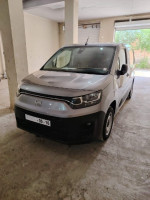 automobiles-et-vehicules-fiat-doblo-2024-professionnel-batna-algerie