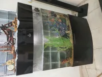 Aquarium digital