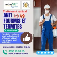 Traitement lutte anti fourmis et termites à belabess 