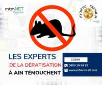 Entreprise de dératisation à ain témouchent 