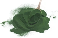 Spiruline BIO et courante (poudre et flocon) (Algue) سبيرولين: مرحية عضوية و رقائق