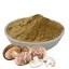مكملات-غذائية-shiitake-en-poudre-bio-champignon-espagne-شيتاكي-مسحوق-عضوي-فطر-إسبانيا-برج-البحري-الجزائر