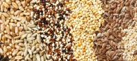 Aphrodisiaque : différents produits --- مثير للشهوة الجنسية : منتجات مختلفة 