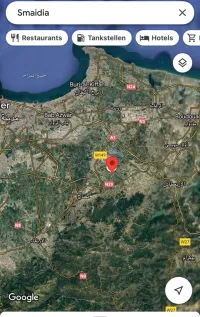 Vente Terrain Boumerdes Hammedi