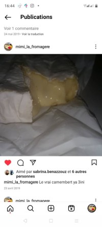 مشاريع-ودراسات-technicien-fromager-عين-بنيان-الجزائر