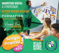 ecoles-formations-formation-en-marketing-digital-et-strategique-el-harrach-alger-algerie