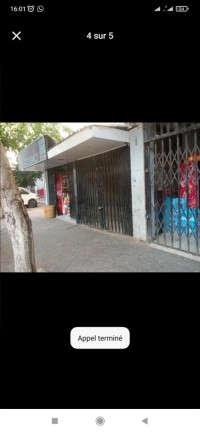commercial-sell-alger-les-eucalyptus-algeria