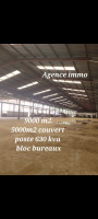 hangar-location-alger-rouiba-algerie