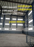 hangar-location-alger-dar-el-beida-algerie