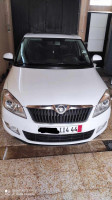 citadine-skoda-fabia-2014-visage-ain-defla-algerie