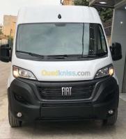 automobiles-fiat-ducato-2023-1-chlef-algerie