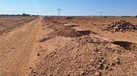 terrain-agricole-vente-mascara-alaimia-algerie