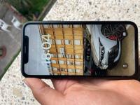 هواتف-ذكية-iphon-iphone-xr-64gb78-batterie-بوينان-البليدة-الجزائر