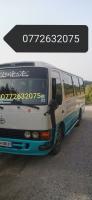 bus-coaster-toyota-2008-collo-skikda-algerie