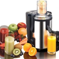 Kenwood extracteur de jus  Gris
