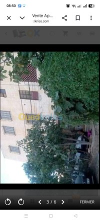 apartment-sell-f3-chlef-boukadir-algeria
