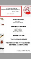 nettoyage-jardinage-prestation-deratisation-desinsectisation-desinfection-alger-centre-algerie