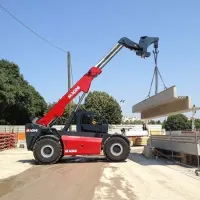 TELESCOPIQUE MAGNI HTH 16.10 16 Tonnes ITALIE 2025