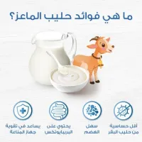 بيع حليب الماعز 