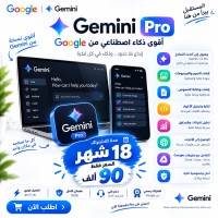 Gemini pro