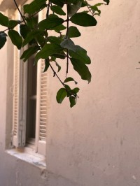 فيلا-بيع-البليدة-مفتاح-الجزائر