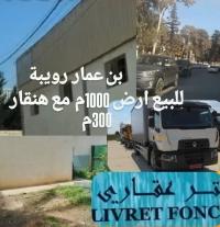 مستودع-مصنع-بيع-الجزائر-الرويبة