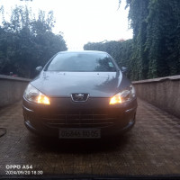 voitures-peugeot-407-2010-batna-algerie