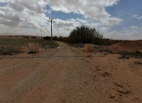 terrain-agricole-location-djelfa-ain-oussara-algerie