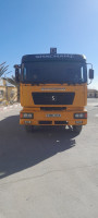 camion-shacman-2010-ouled-atia-msila-algerie