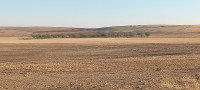 terrain-agricole-location-tiaret-ain-bouchekif-algerie