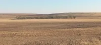 Location Terrain Agricole Tiaret Ain bouchekif