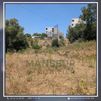 أرض-بيع-عنابة-برحال-الجزائر