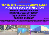 hangar-vente-alger-tessala-el-merdja-algerie