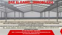 hangar-location-blida-algerie