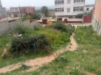 Vente Terrain Skikda Djendel saadi mohamed