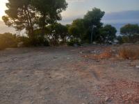 terrain-vente-tipaza-larhat-algerie