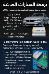 Reprogrammation voitures en ligne avec autotuner à Oued fodda wilaya de chlef 
