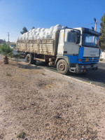 camion-renault-r-340-1983-kais-khenchela-algerie