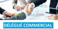 commerce-vente-delegue-commercial-a-djelfa-et-environs-algerie