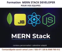 Développeur full stack MERN