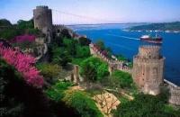 autre-nourrice-el-harrach-alger-algerie