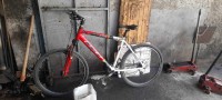 velos-velo-bachdjerrah-alger-algerie