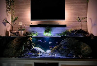 tables-pour-tv-meuble-aquarium-ain-naadja-alger-algerie