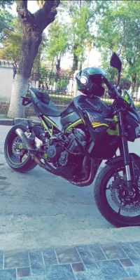 Kawasaki Z900 2021